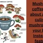 Mushroom Coffee Benefits: Types, Uses, and Health Perks